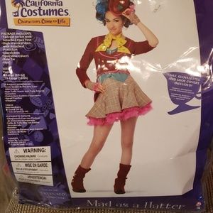Mad as a Hatter Costume